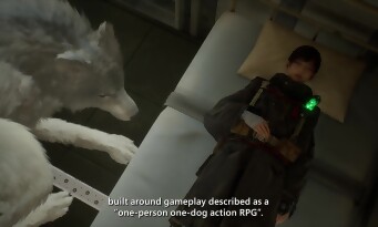 Beast of Reincarnation