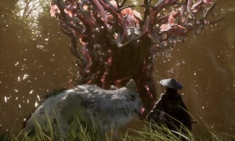 Beast of Reincarnation