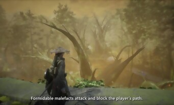 Beast of Reincarnation