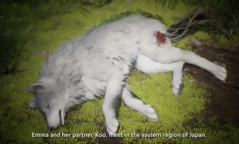 Beast of Reincarnation