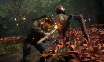 Beast of Reincarnation