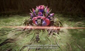 Beast of Reincarnation