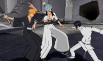 Bleach : Heat The Soul 5