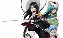 Bleach : Versus Crusade