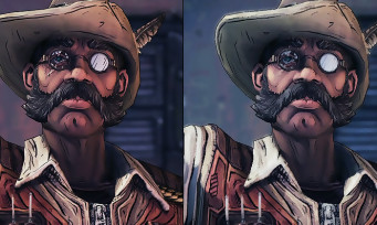Borderlands The Handsome Collection : comparatif PS4 VS PC