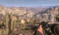 Call of Juarez The Cartel