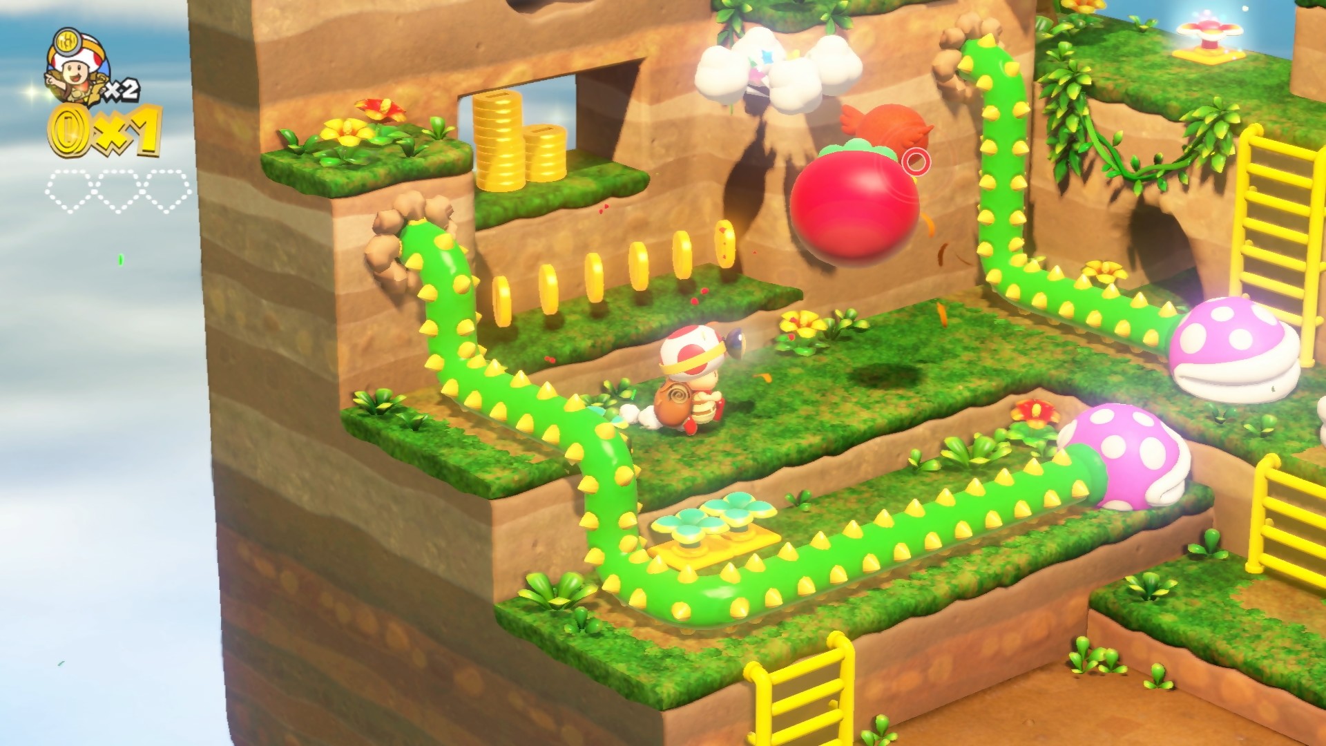 toad treasure hunter download free