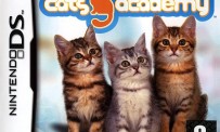 Cats Academy