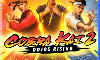 Cobra Kai 2 : Dojos Rising