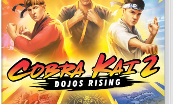 Cobra Kai 2 : Dojos Rising