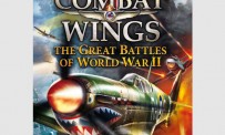Combat Wings : The Great Battles of Word War 2