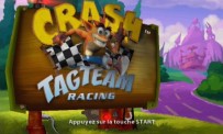 Crash Tag Team Racing