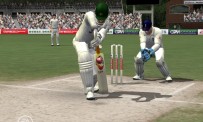 Cricket 07