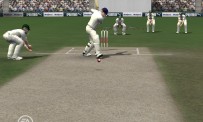 Cricket 07