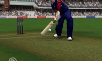 Cricket 07