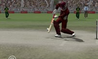 Cricket 07