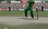 Cricket 07