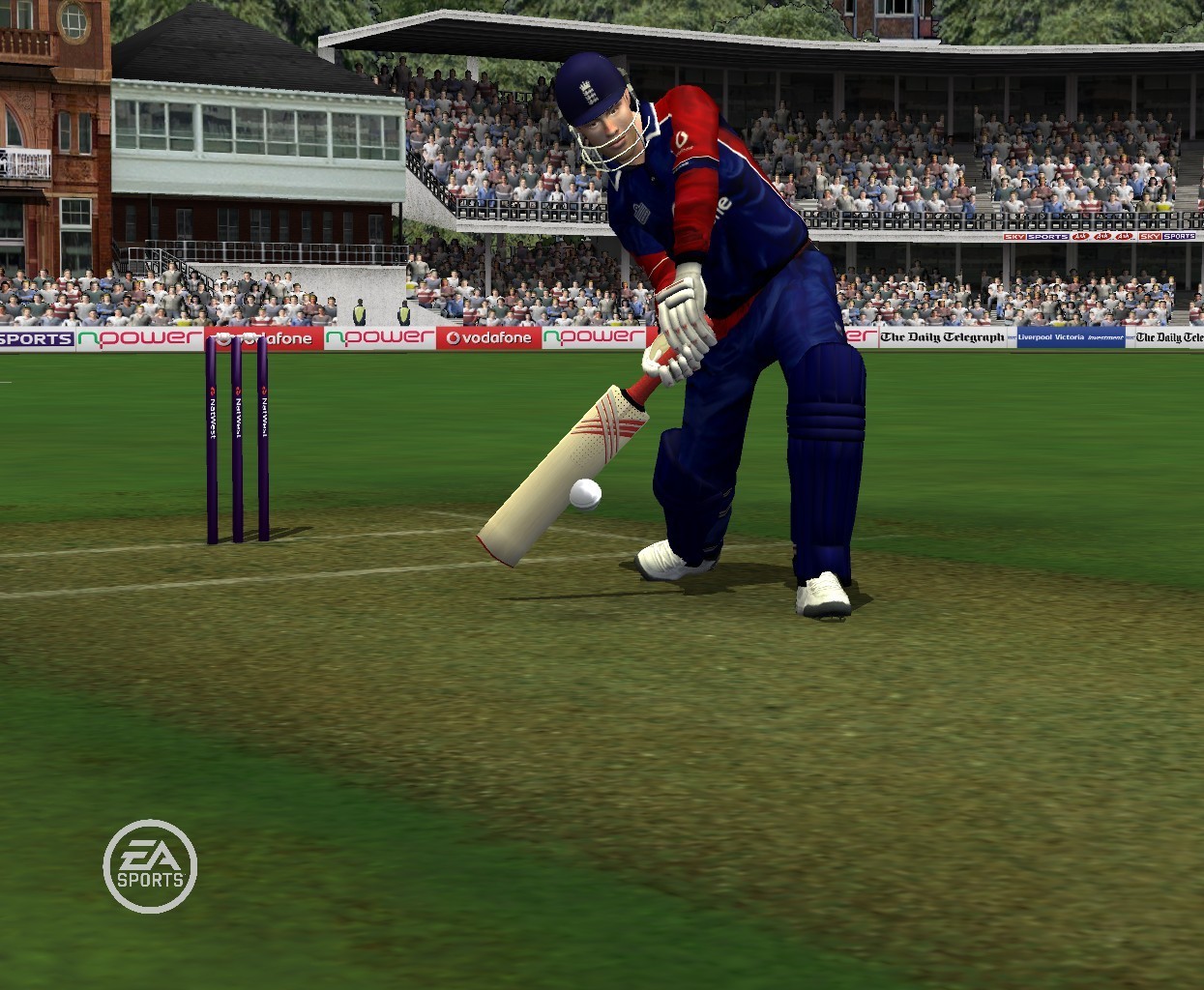 Игра симулятор бита. Крикет игра компьютерная. EA Cricket 07 game. Игра на компьютер Cricket. Light Ball игра на ПК до 2007.
