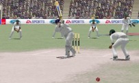 Cricket 2004