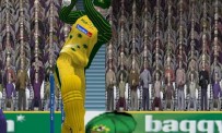 Cricket 2004