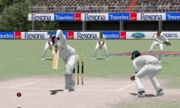 Cricket 2004