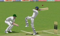 Cricket 2004