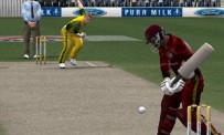 Cricket 2005