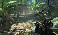 Crysis