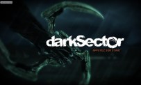 Dark Sector