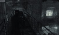 Dark Sector