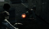 Dark Sector