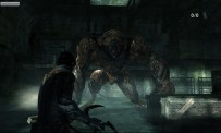 Dark Sector