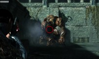 Dark Sector