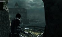 Dark Sector
