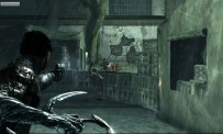 Dark Sector