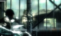 Dark Sector