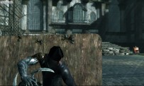 Dark Sector