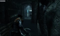 Dark Sector