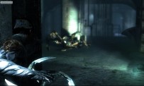 Dark Sector