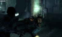 Dark Sector