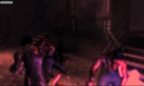 Dark Sector