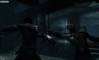 Dark Sector