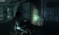 Dark Sector