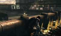 Dark Sector