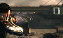 Dark Sector