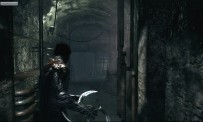 Dark Sector