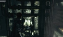 Dark Sector