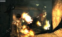 Dark Sector