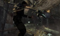 Dark Sector