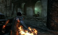 Dark Sector